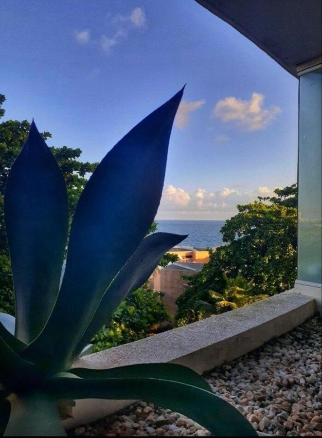 Studio Encantador Em Ondina Salvador Ngoại thất bức ảnh
